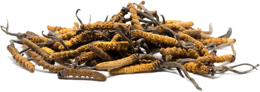 Cordyceps Gummies: The Ultimate Guide to Boosting Your Health Naturally